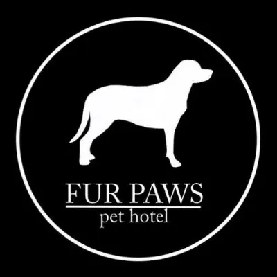 Fur Paws Llc