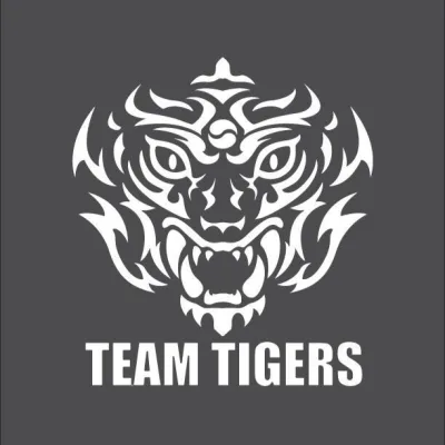 Team Tigers Taekwondo Academy