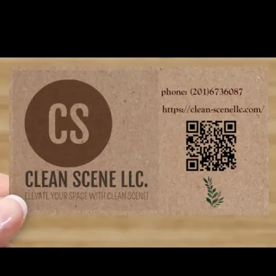 Clean Scene Llc