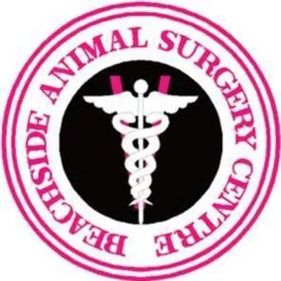 Beachside Animal Hospital