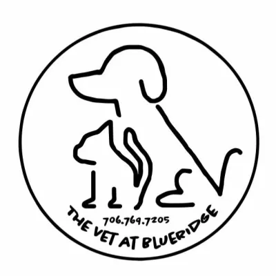 The Vet At Blueridge