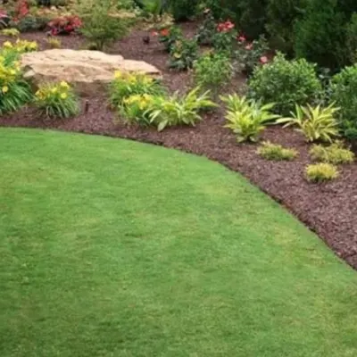 We Hunt Landscaping