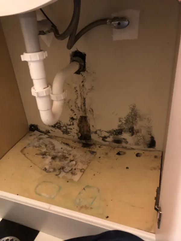 Before ,Leak destroyed cabinet