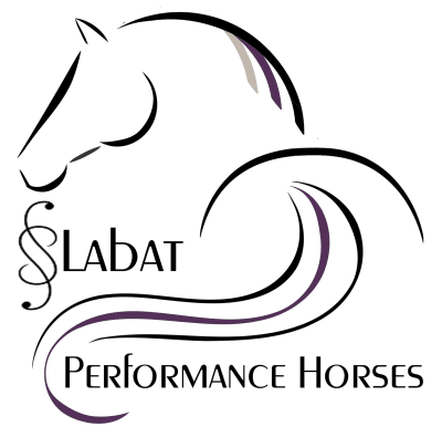 SLabat Performance Horses