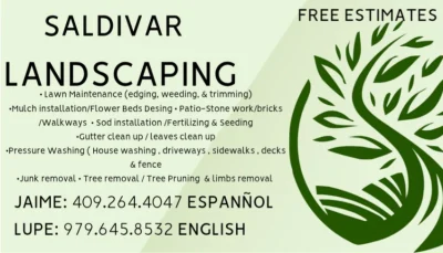 Saldivar Landscapping 