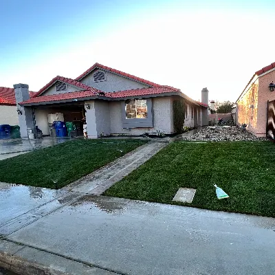 Torres Tree Trimming