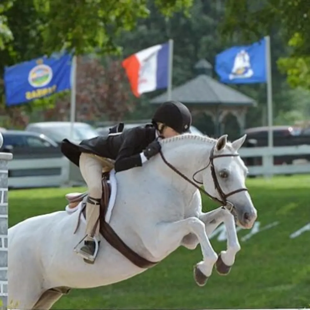 Helicon Show Stables