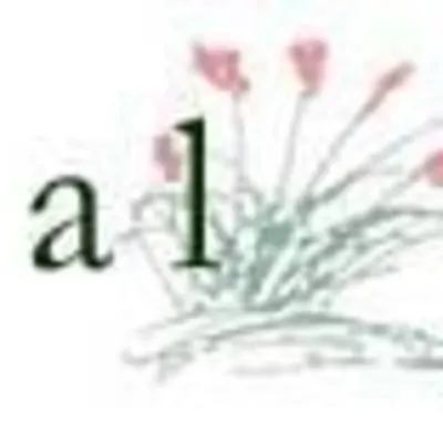 Botanical Designs Inc
