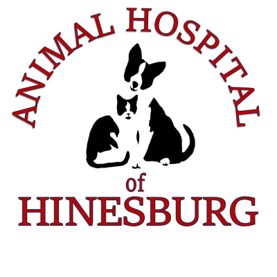 Animal Hospital Of Hinesburg
