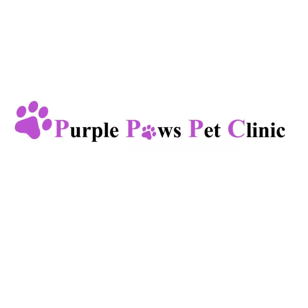Purple Paws Pet Clinic