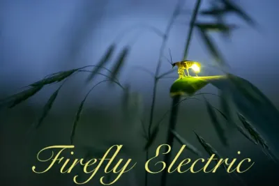Firefly Electric LLC