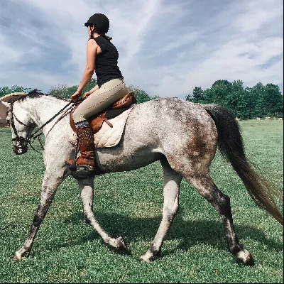 Riding Lessons With Kat
