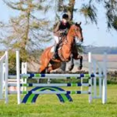 LB Eventing And Dressage