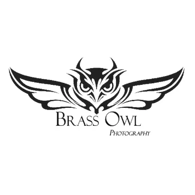 Brass Owl Phorography