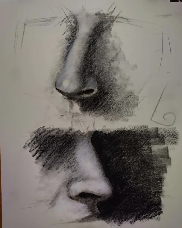 Facial features study 