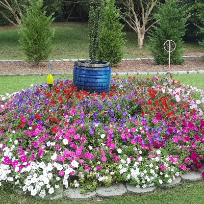 Primo Lawn Care Services