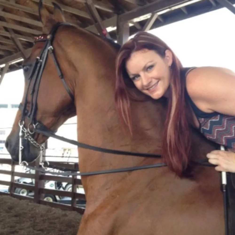 Skyview Stables