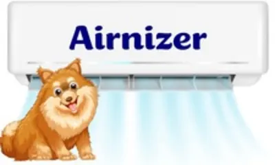 Airnizer, Inc.