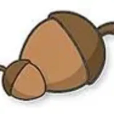 Little Acorn Childcare