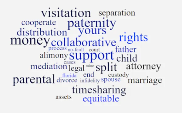 Family Law Word Cloud