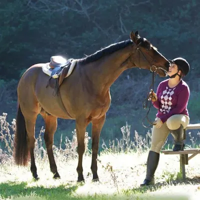 Ashley Mason Equestrian