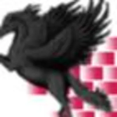 Pegasus & Sons Masonry Co., Inc.