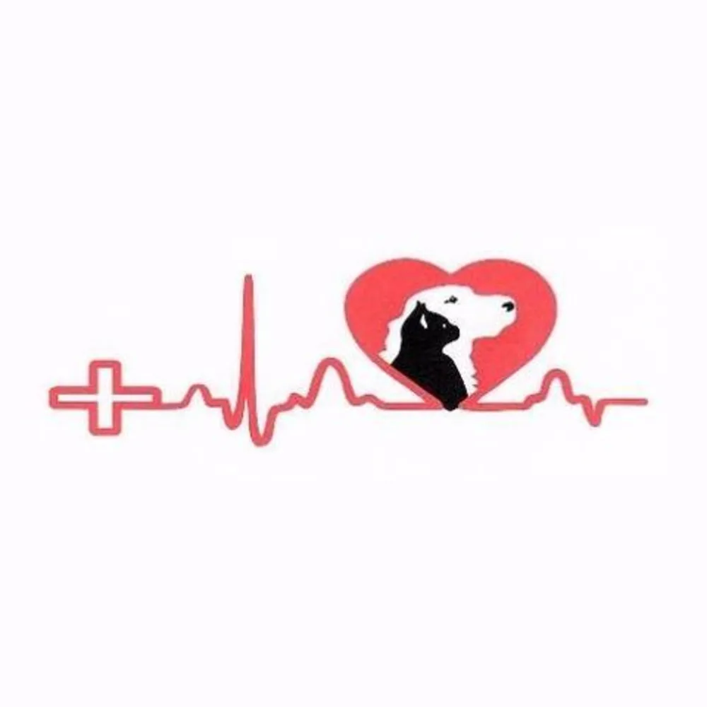 Northside Veterinary Clinic