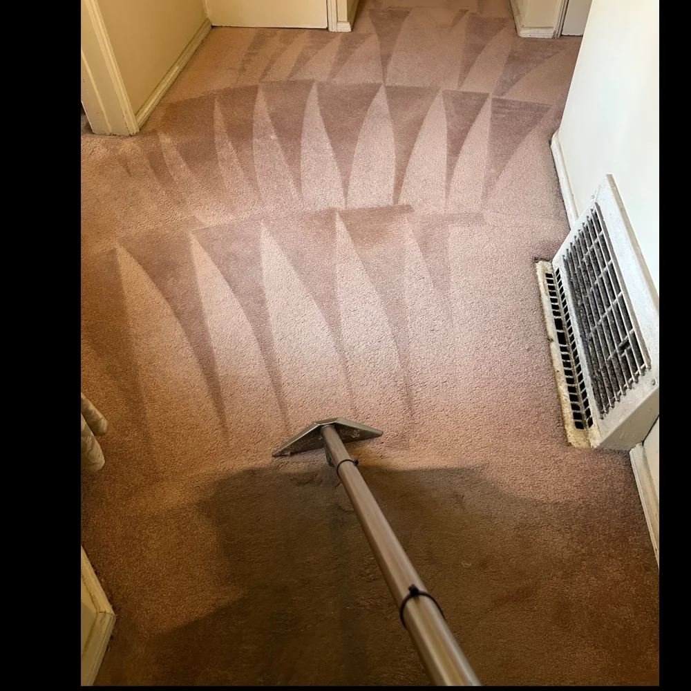 Organic Choice Carpet Cleaning