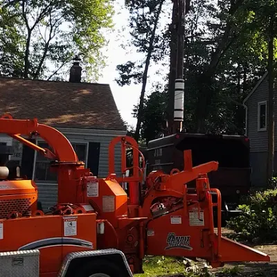 J & M Tree Removal