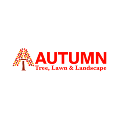 Autumn Tree, Lawn & Landscape