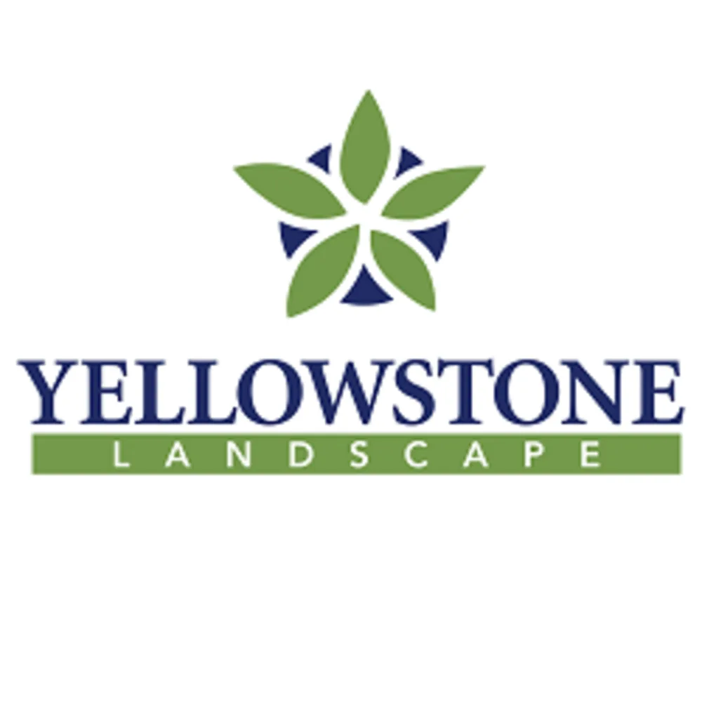 Yellowstone Landscape