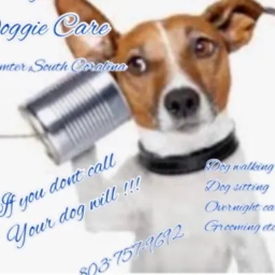 Lots Of Love Doggie Care