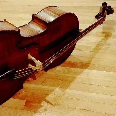 Personalized Music Lessons- First Lesson Is Free!