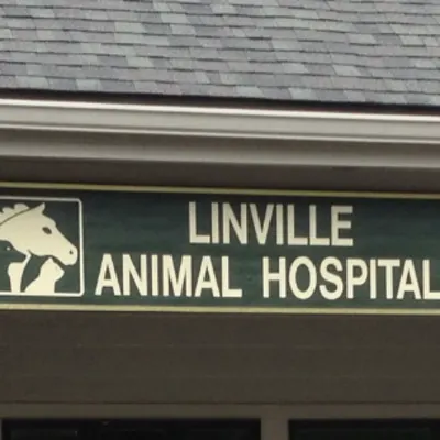 Linville Animal Hospital