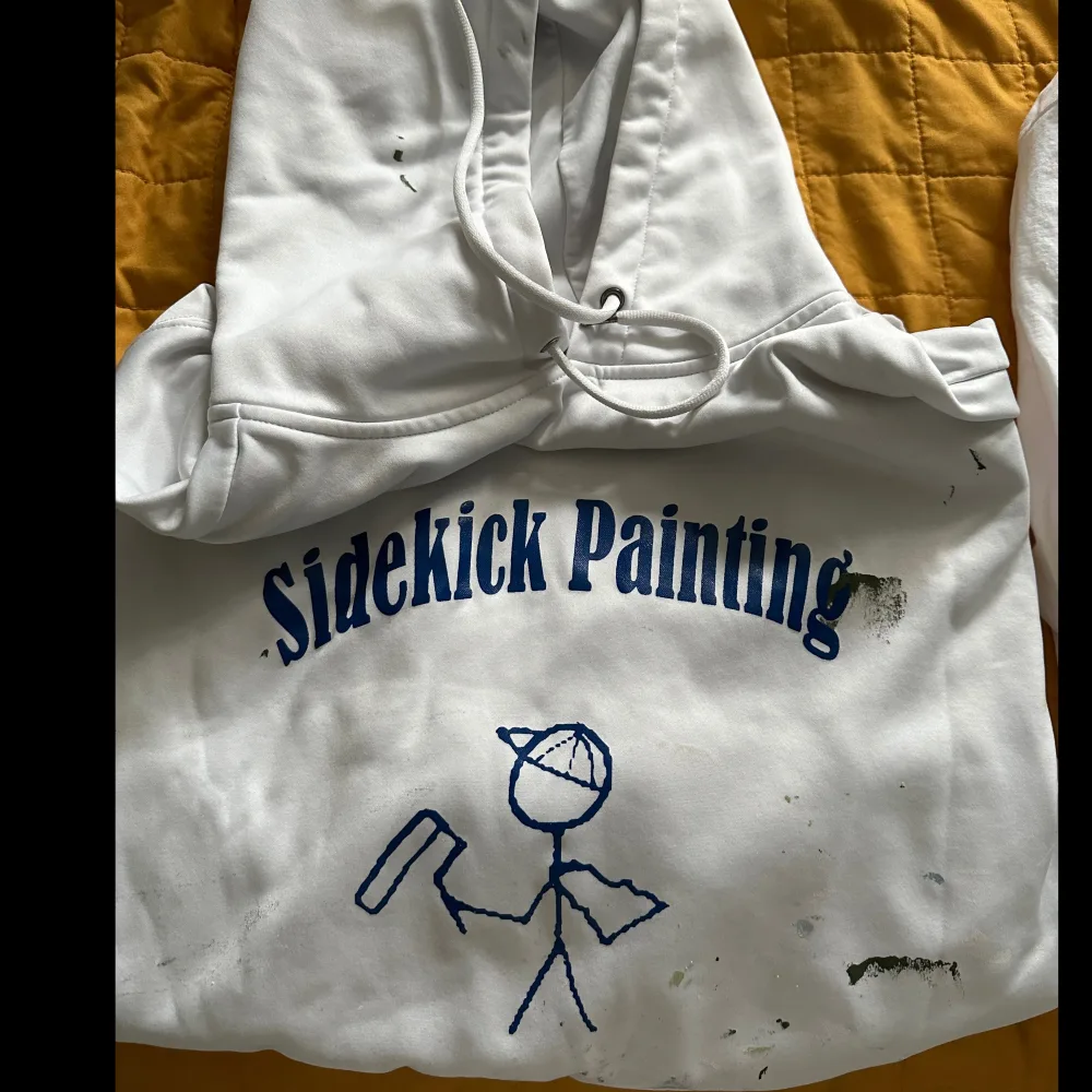 Sidekick Painting