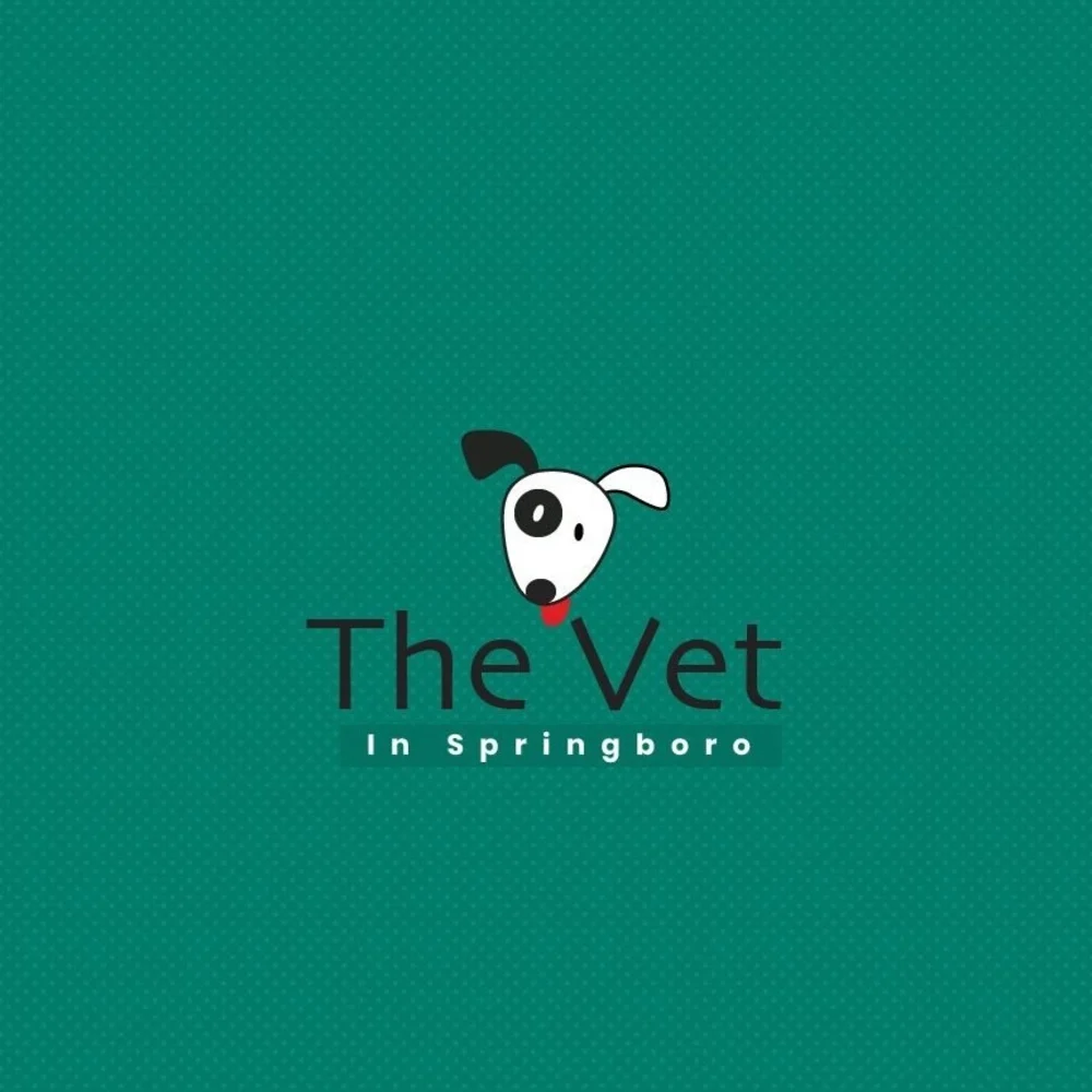 The Vet In Springboro