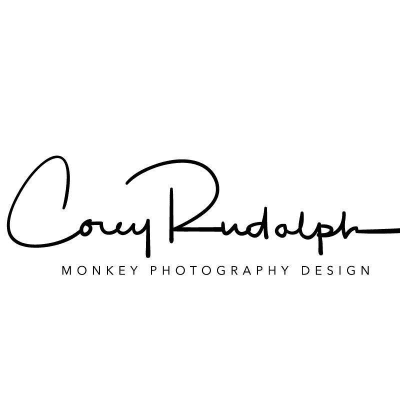 Monkey Photography Design