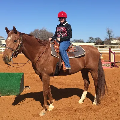 Jamies Pet & House Sitting