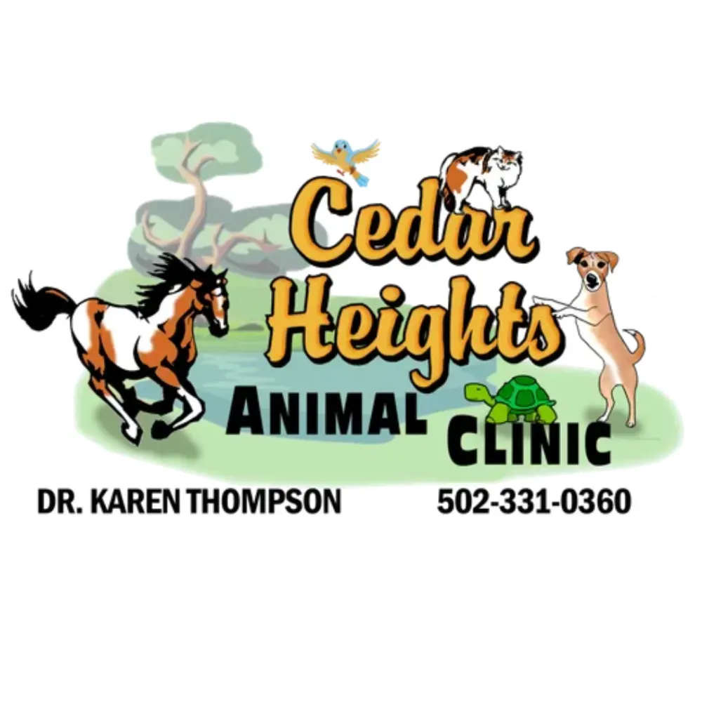 Cedar Heights Animal Clinic