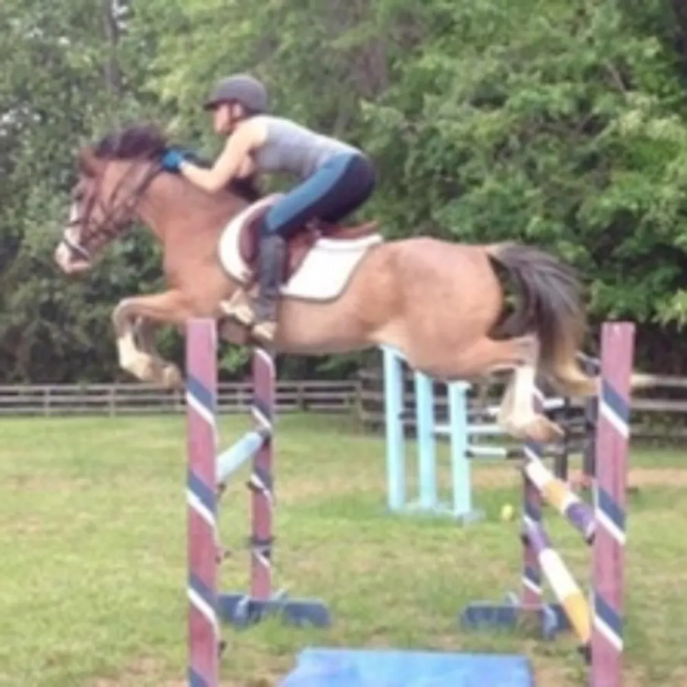 Sleipnir Stables