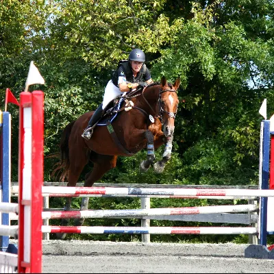 White Fox Eventing