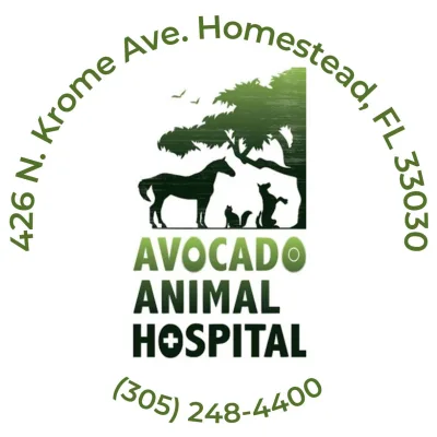 Avocado Animal Hospital