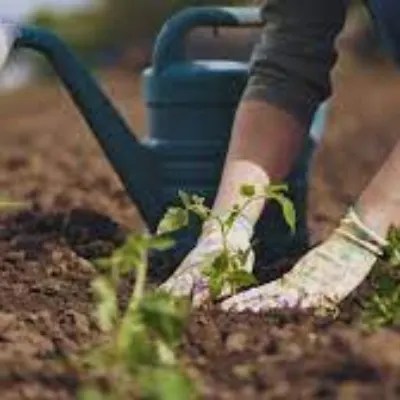 Better Gardeners