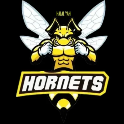 SteelCityHornets