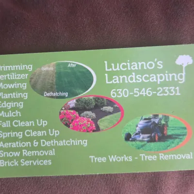 LUCIANO'S LANDSCAPING AND TREE SERVICE INC.