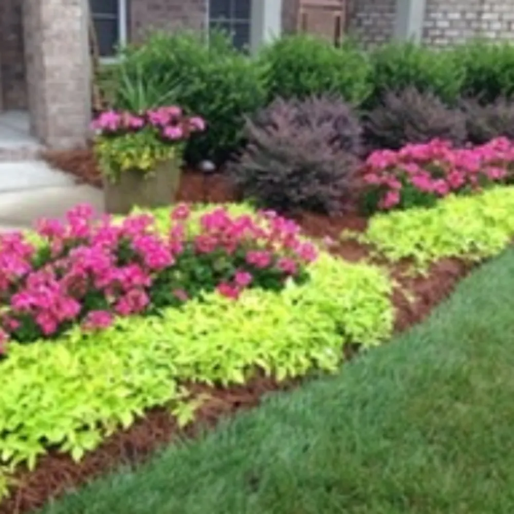 Pro Turf Landscaping
