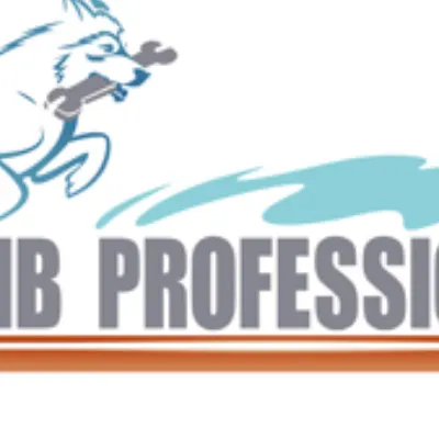 Plumb Professionals