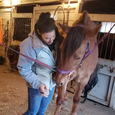 Hidden Meadow Equestrian Center