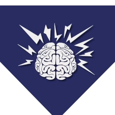 Mo Baseball And Training