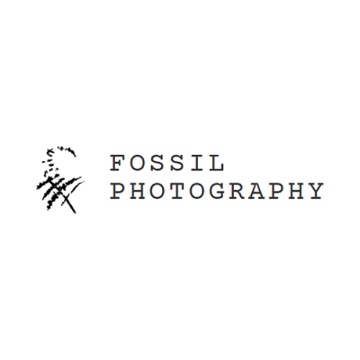 Fossil Photography